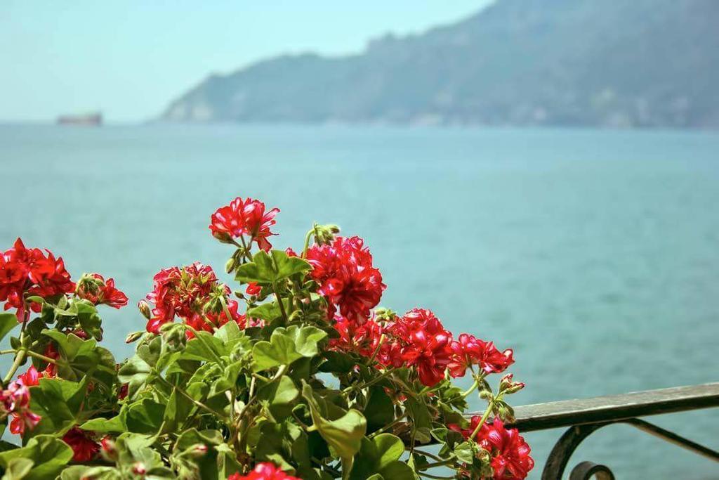 B&B Fronte Del Mare Salerno Eksteriør billede